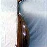 Figure 2: The side perspective of the oud which looks like a duck